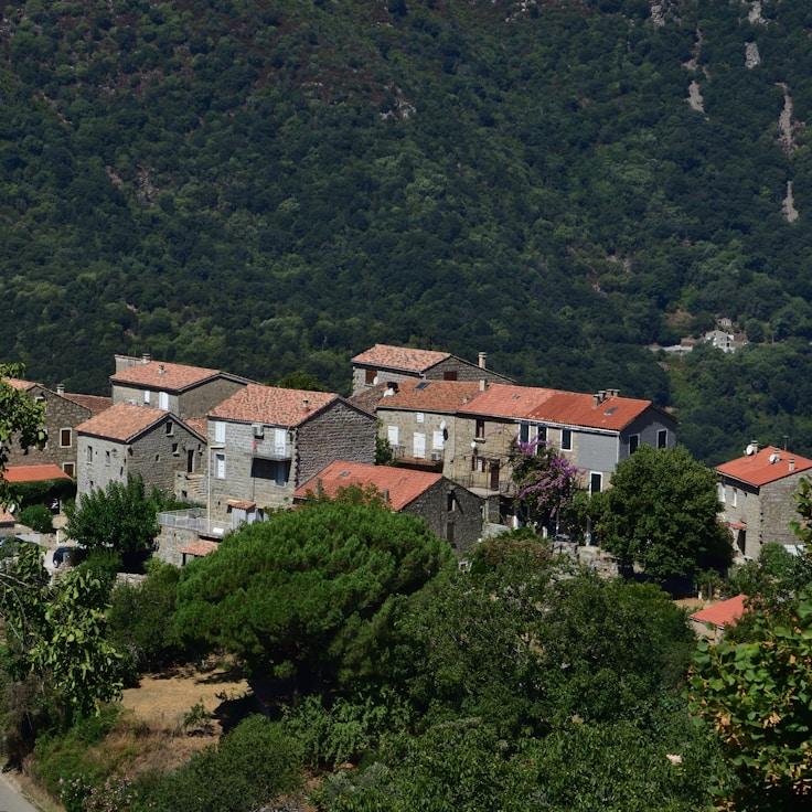 Family terraces and cafés for calm evenings in Zurich